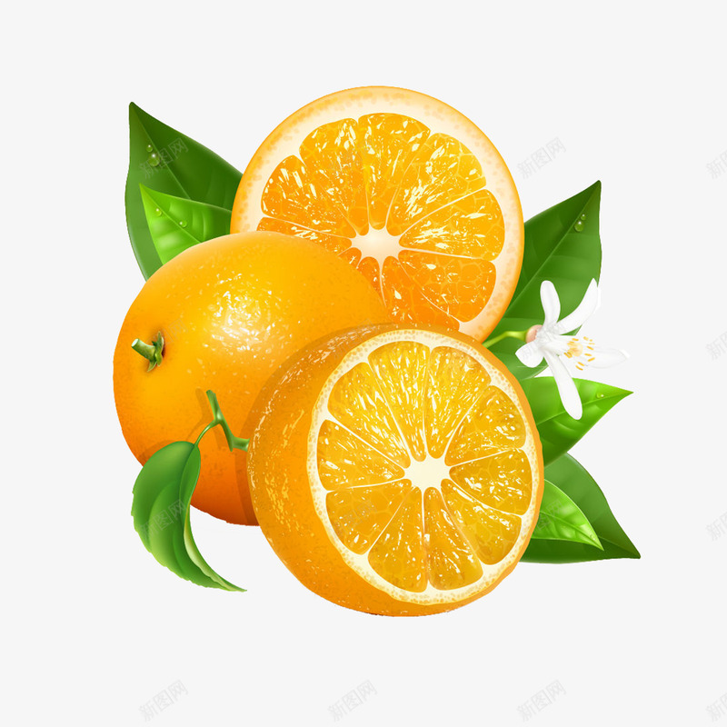 甜橙png免抠素材_88icon https://88icon.com 切开的橙子 新鲜橙子 柠檬橙子 橙子 橙子切面 橙子图片 橙子水果 橙子特写 橙子花 水果 水果橙子 甜橙 美味橙子 赣南脐橙 高清橙子