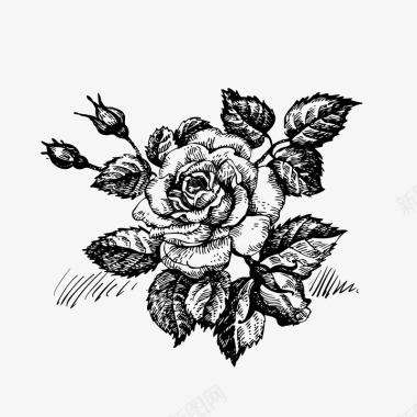 线描手绘花草复古玫瑰图标图标