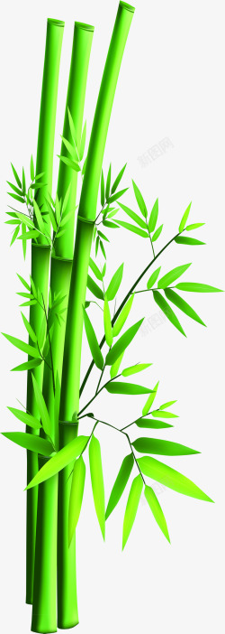 端午节竹子竹叶绿色装饰素材