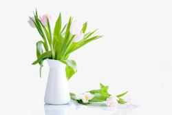 植物摆件绿色树叶粉嫩花卉植物桌面摆件高清图片