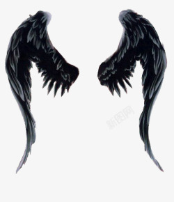 天使遇上恶魔一双黑色的翅膀高清图片