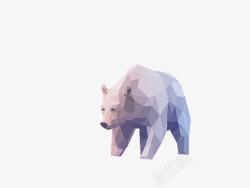 海冰多边形的北极熊高清图片