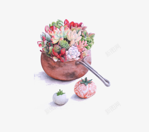 小清新插画广告卡通多肉盆栽png免抠素材_88icon https://88icon.com 卡通手绘装饰插画 多肉小清新插画 多肉植物 多肉植物促销宣传设计 广告设计 盆栽俯视图 简约大气插画 绿色盆栽