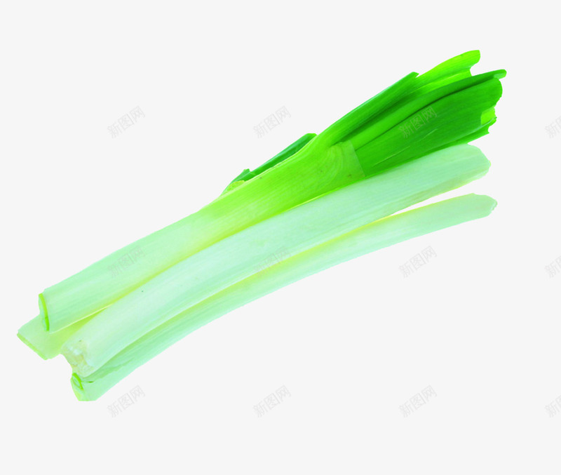新鲜的嫩葱png免抠素材_88icon https://88icon.com 一捆 东北大葱 大葱 嫩葱 小葱 摄影 种葱 绿葱 菜 葱 葱叶 葱苗 葱蒜 蔬菜 青菜 青葱 香葱