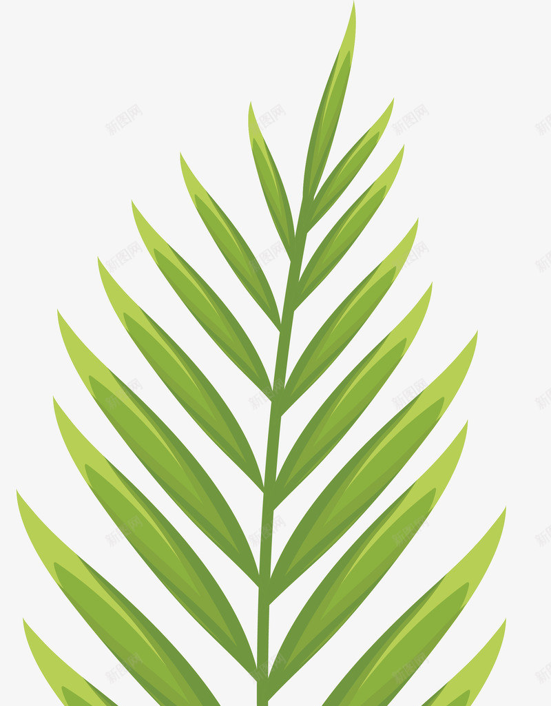 绿色棕榈叶叶子图矢量图ai免抠素材_88icon https://88icon.com 夏天 异国情调 手绘 树叶 树木 棕榈叶 棕榈叶子 棕榈树 植物 热带 热带棕榈芭蕉叶 热带植物 环境 绘画 自然 矢量图