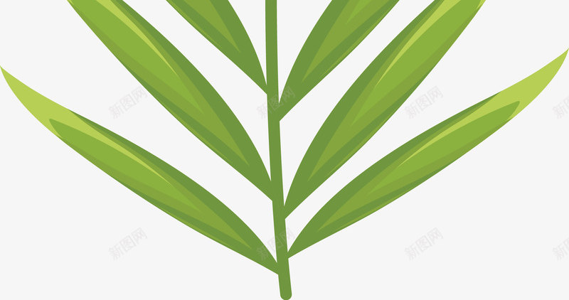 绿色棕榈叶叶子图矢量图ai免抠素材_88icon https://88icon.com 夏天 异国情调 手绘 树叶 树木 棕榈叶 棕榈叶子 棕榈树 植物 热带 热带棕榈芭蕉叶 热带植物 环境 绘画 自然 矢量图