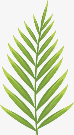 夏威夷棕榈树叶绿色棕榈叶叶子图矢量图高清图片
