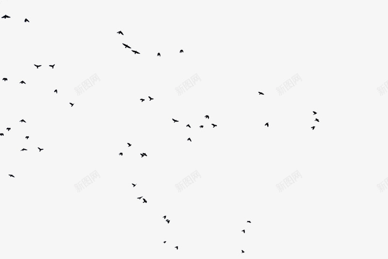 成群结伴的黑色乌鸦在空中png免抠素材_88icon https://88icon.com 乌鸦 成群 空中 结伴 黑色
