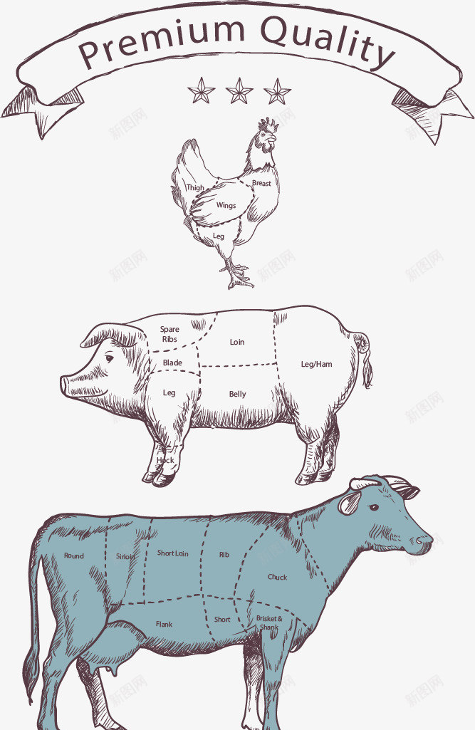 手绘动物分区png免抠素材_88icon https://88icon.com 分区 动物 手绘 牛肉 猪肉 猪肉分类 鸡肉