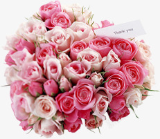 粉色玫瑰花心形素材