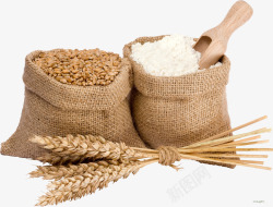 小麦免抠实物实物麦穗小麻袋装麦粒白面高清图片