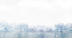 冬季树木雪花飘落在冰面上高清图片