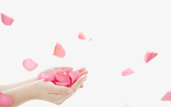 飘零玫瑰瓣装饰情人节粉色手捧小清新玫瑰瓣装饰高清图片