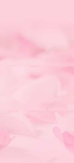 梦幻粉色粉色梦幻花瓣背景高清图片