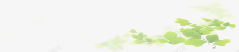 春季文艺装饰绿色树叶png免抠素材_88icon https://88icon.com 文艺 春季 树叶 绿色 装饰