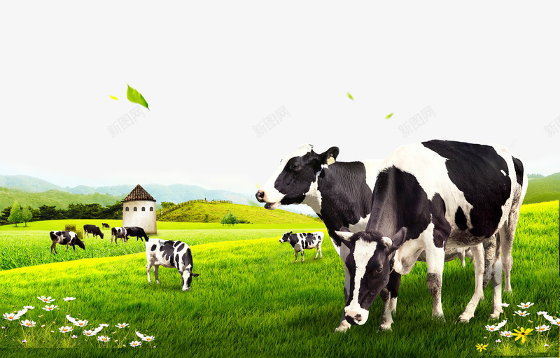 牧场的奶牛psd免抠素材_88icon https://88icon.com 吃素 吃草的奶牛 奶牛 牛吃草 牛奶广告 牧场 萌宠牧场 蓝天白云奶牛 风车 黑白牛