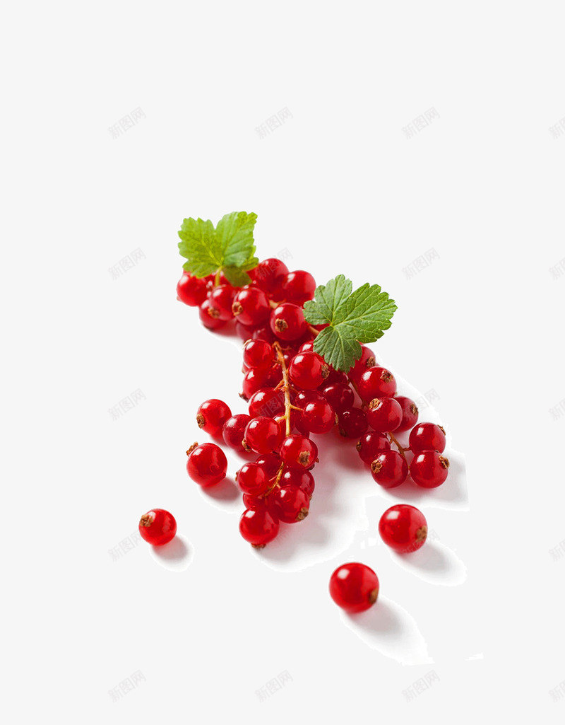 酸甜蔓越莓png免抠素材_88icon https://88icon.com 水果 红莓 蔓越梅 蔓越莓 蔓越莓干 蔬果 酸甜 食品 食物