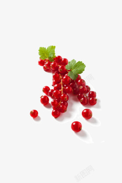 蔬果干酸甜蔓越莓高清图片