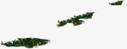 高档绿植装饰植物素材