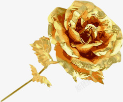 金箔玫瑰花朵礼物节日素材