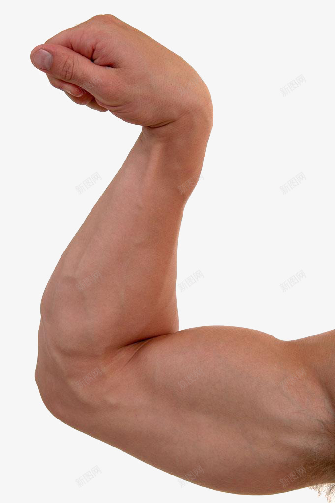 强壮的男人手臂png免抠素材_88icon https://88icon.com 强壮的男人手臂 性感男人 生殖器官 男人 男性 男科 高清免扣
