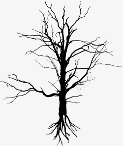 枯树干黑色枯树枝高清图片