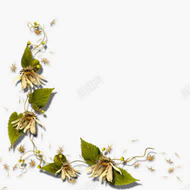 花卉藤条水彩花草装饰图标图标
