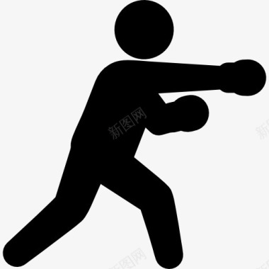 隐身战斗机拳击手图标图标