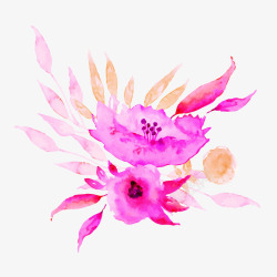 粉色水彩植物花朵插画素材