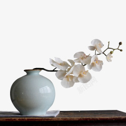 白色蝴蝶兰景德镇中国风瓷瓶高清图片