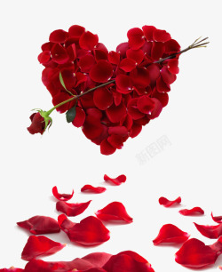 心形花瓣红色玫瑰花瓣心形造型高清图片