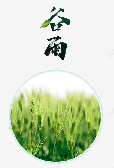 谷雨艺术字png免抠素材_88icon https://88icon.com PNG图片 免抠 天猫 天猫素材 广告设计 毛笔字艺术字 淘宝 淘宝素材 艺术字体下载 谷雨