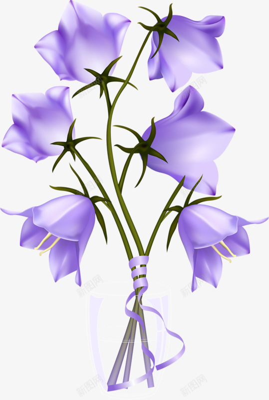 紫色喇叭花png免抠素材_88icon https://88icon.com 喇叭花 植物 紫色 花草