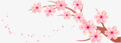花瓣的绘制底纹粉色樱花banner高清图片