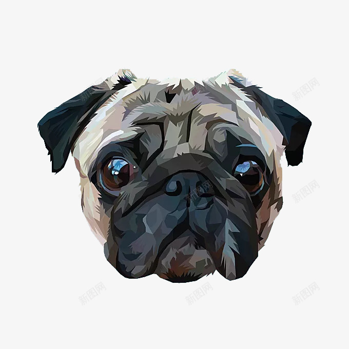 八哥犬头像png免抠素材_88icon https://88icon.com 中华犬 八哥犬 可爱 品种 头像 家犬 犬类 饲养