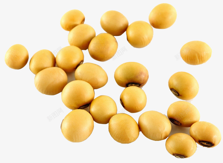 黄豆实物摄影png免抠素材_88icon https://88icon.com 大豆蛋白 实物摄影 蛋白质 黄色豆子 黄豆