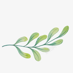 绿色小清新植物生命矢量图素材