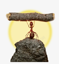 创意企业文化蚂蚁成功插画素材