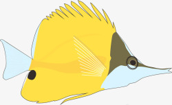 海水鱼黄色可爱素材