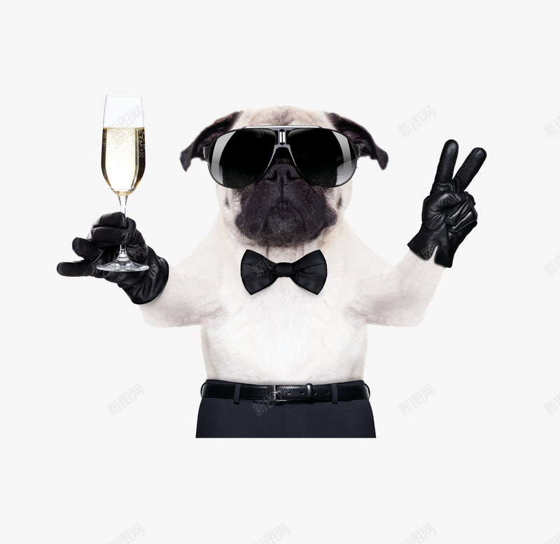 端着酒杯的狗psd免抠素材_88icon https://88icon.com 双十一 小狗 开心 胜利手势