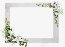 鲜花相框清新白色鲜花装饰相框高清图片