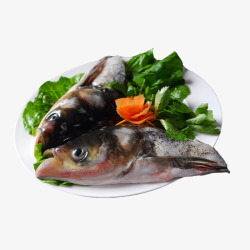 产品实物水库鱼花鲢鱼鱼头素材
