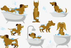 狗狗洗澡素材