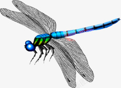 手绘蓝色蜻蜓装饰素材