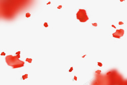 红色漂浮植物花瓣场景效果素材