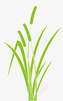 绿色春季芦苇植物素材