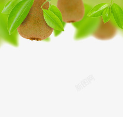 夏季新鲜西瓜新鲜的猕猴桃水果高清图片