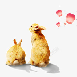 中秋写实兔子插画素材