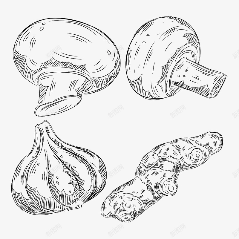 线描食品集合png免抠素材_88icon https://88icon.com 手绘 生姜 素描 蒜头 蘑菇