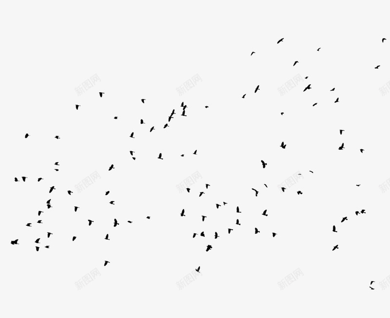 成群结伴的乌鸦在空中飞翔png免抠素材_88icon https://88icon.com 乌鸦 乌鸦图案 成群 空中 结伴 飞翔
